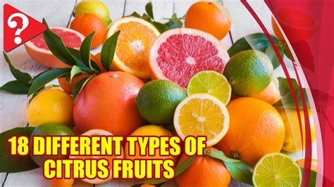 18 Different Types of Citrus Fruits .